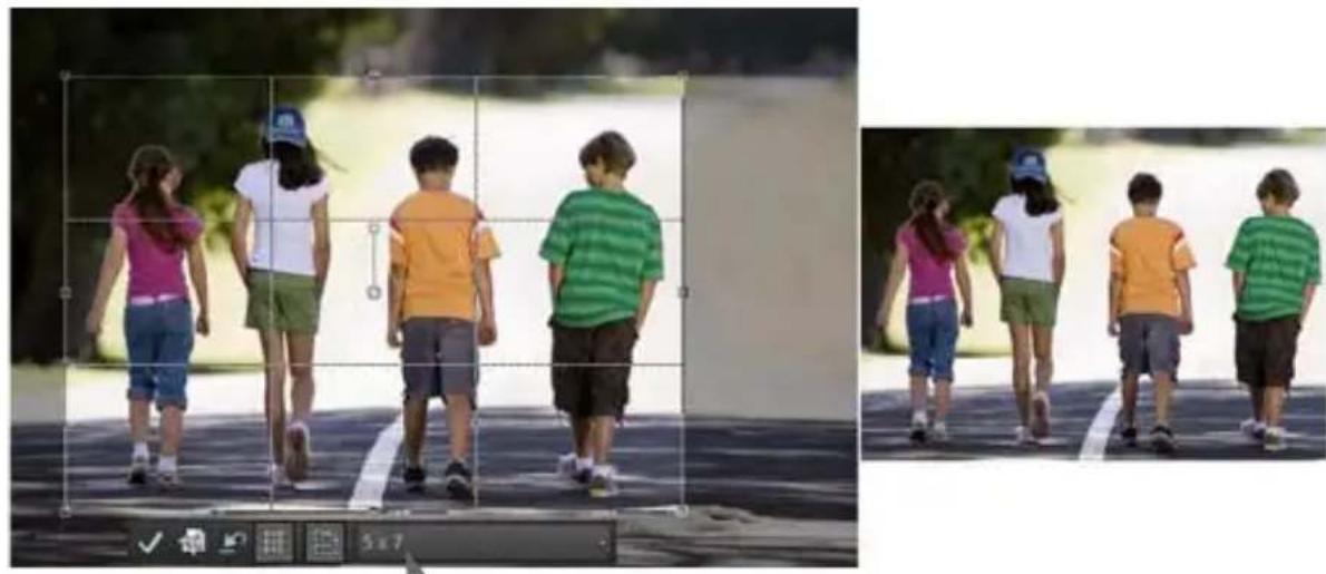 COREL PaintShop Pro X7 Ultimate - Recadrage des images - 1