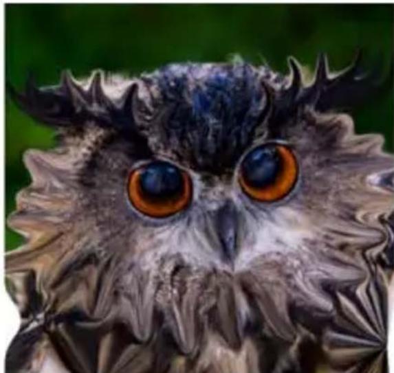 COREL PaintShop Pro X7 Ultimate - Déformation d'images - 2