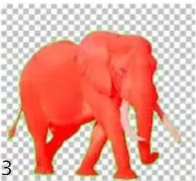 COREL PaintShop Pro X7 Ultimate - Découpe de zones d'image - 3