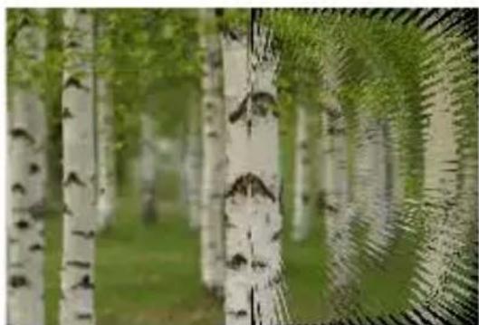 COREL PaintShop Pro X7 Ultimate - Rayonnement - 1