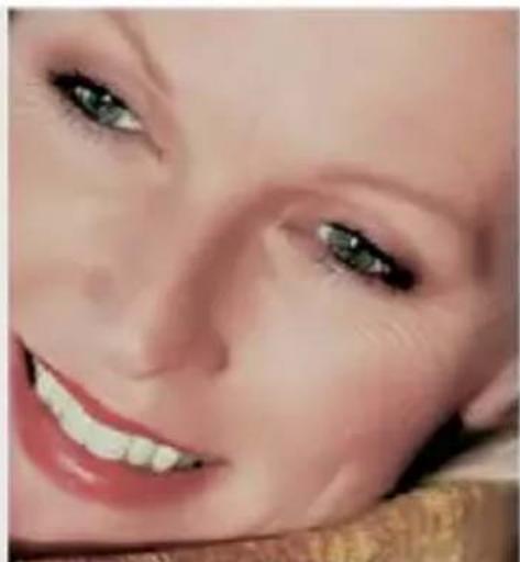 COREL PaintShop Pro X7 Ultimate - Pour adoucir le teint de la peau : - 2