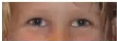 COREL PaintShop Pro X7 Ultimate - Suppression des « yeux rouges » - 2