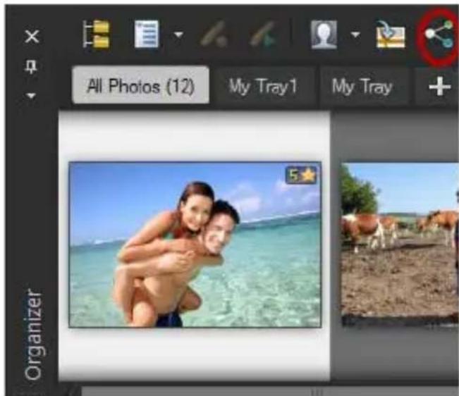 COREL PaintShop Pro X7 Ultimate - Partagez des photos - 1