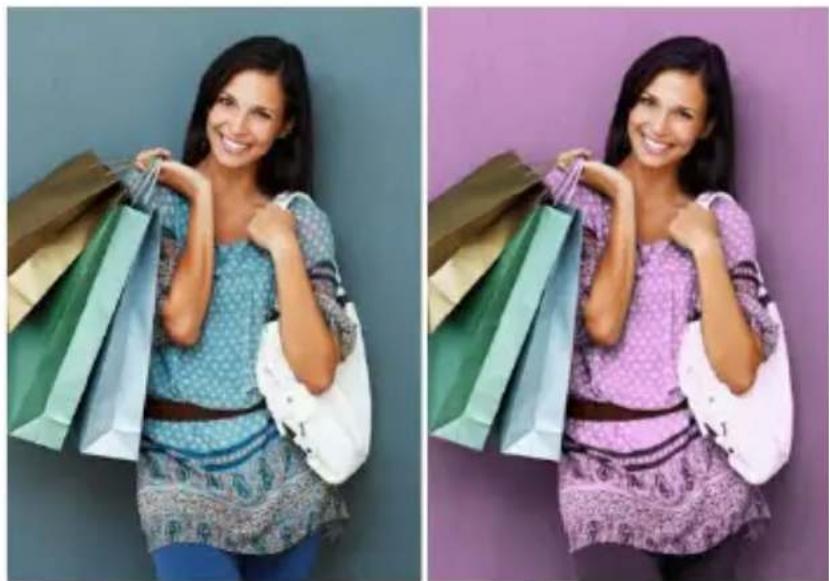 COREL PaintShop Pro X7 Ultimate - Recoloration des zones d'image pour un effet réaliste - 1