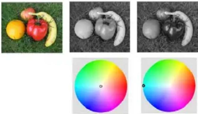 COREL PaintShop Pro X7 Ultimate - Film noir et blanc - 1