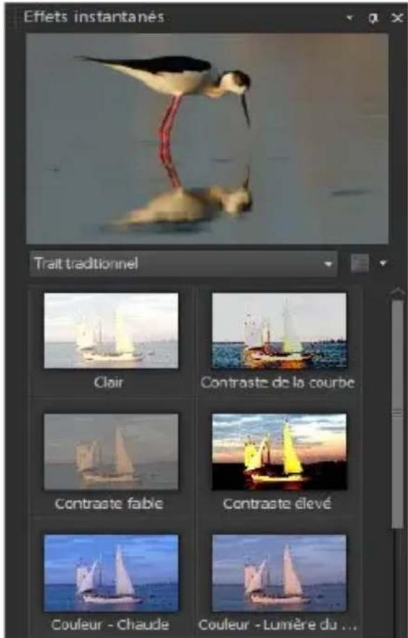 COREL PaintShop Pro X7 Ultimate - Utilisation de la palette Effets instantanés - 1