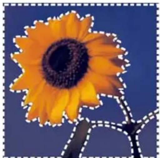 COREL PaintShop Pro X7 Ultimate - Inversion et suppression de sélections - 1