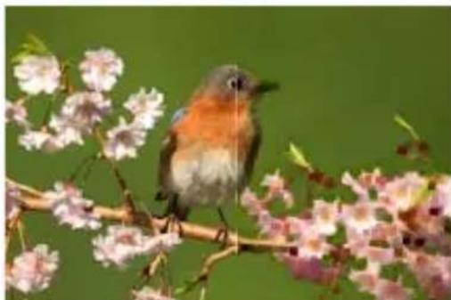 COREL PaintShop Pro X7 Ultimate - Éroder   Espace de travail Édition - 1