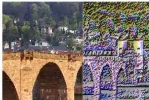 COREL PaintShop Pro X7 Ultimate - Néon - 1