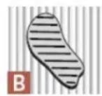 KOENIG B08177 - ASTUCE DE PRO: - 2