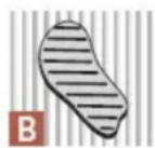 KOENIG B08184 - UN CONSIGLIO PER INTENDITORI: - 2