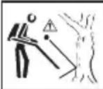 MCCULLOCH GBV 325 - IDENTIFICACION DE SYMBOLES - 4