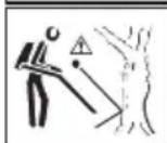 MCCULLOCH GBV 325 - Dear Customer, - 4