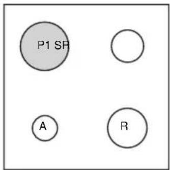 ROTEL 1632 - Afbeeldingen / Abbildungen / Figures / Figures - 2