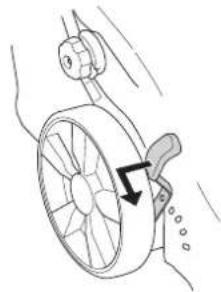 BncoynaHa npra3aHe 1