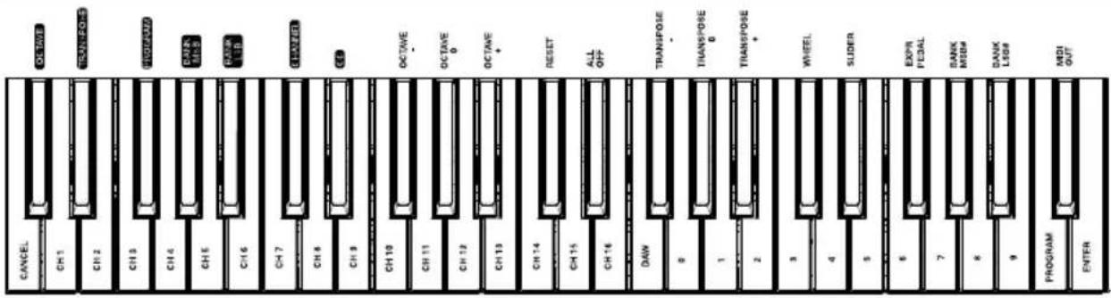 OCTUB CH1 CH2 CH3 CH4 CH5 CH6 CH7 CH8 CH9 CH10 CH11 CH12 CH13 CH14 CH15 CH16 DAW 8 1 2 3 4 5 6 7 8 9 PROGRAM ENTER HOTTER OFF OCTUE OCTUE OCTUE RESET ALL TRANSPOSE THANPOSE THANPOSE WHEEL SLIDER EXP. FEDAL BANK MRSH DANK LSSR MDI OUT