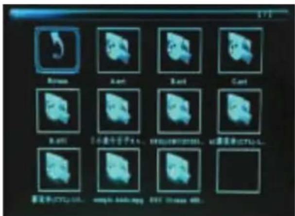 BRAUN DigiFrame 1870 - Video Mode/Delete Function - 1