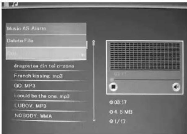 BRAUN DigiFrame 1585 - Funcao de apagar - 1