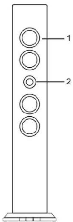 Ices IBT3 - Frontal - 1