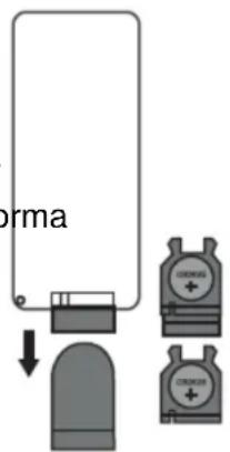 Ices IBT3 - DieBatterie - 1