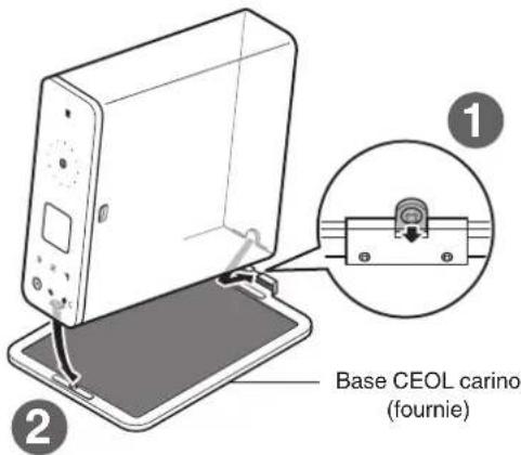 Base CEOL carino (fournie)