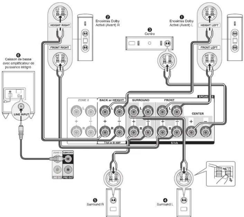 ONKYO HTS7705 - Connexion des enceintes - 2
