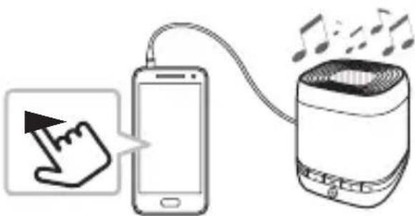 LG NP1540W - Connexion en entrée d'un appareil portable - 2