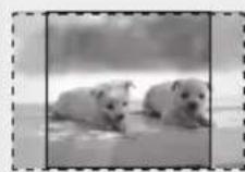 SAMSUNG HTE350 - 4:3 Pan-Scan - 1