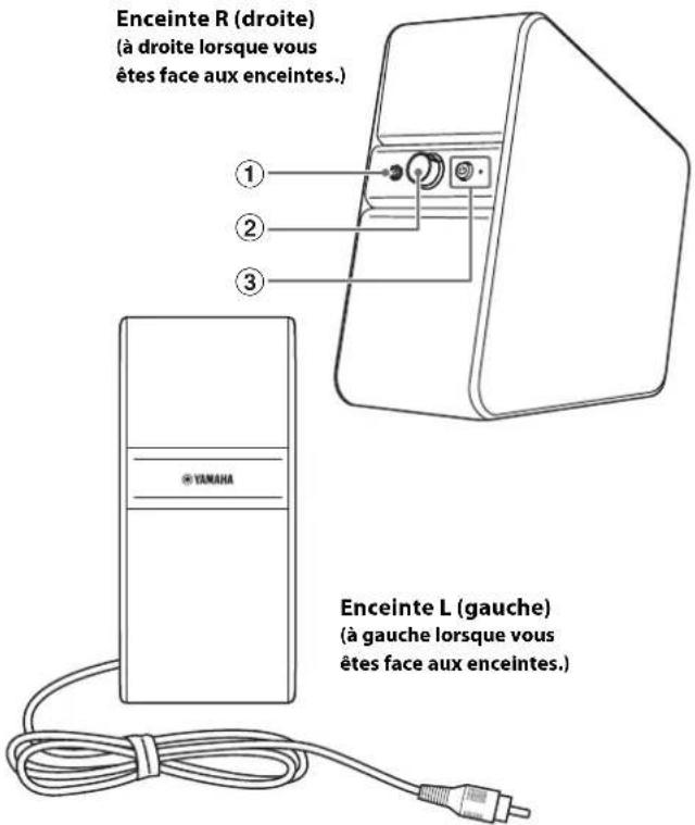 Enceinte R (droite) (à droite lorsque vous êtes face aux enceintes.) ① ② ③ YANANA Enceinte L (gauche) (à gauche lorsque vous êtes face aux enceintes.)