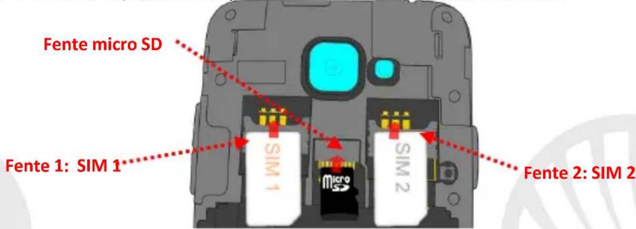 NGM-Mobile Dynamic Milo - Assemblage - 1