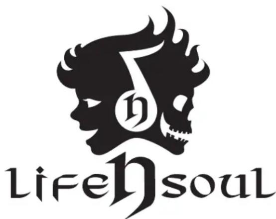 Life N Soul BN301BUR - WARNING / MAINTENANCE - 1
