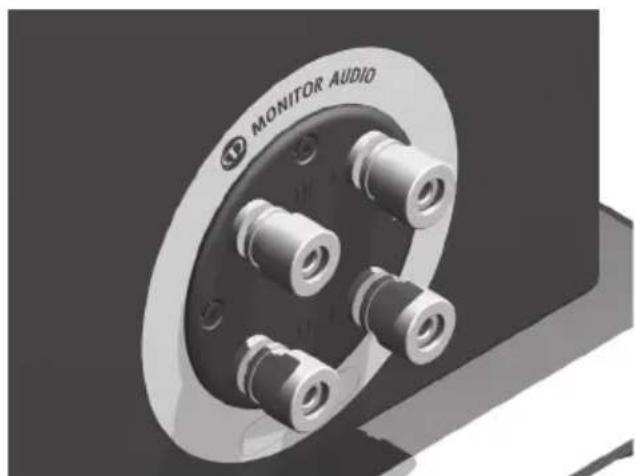 MONITOR AUDIO Silver 6 - Bi-Wiring / Bi-Amping - 2