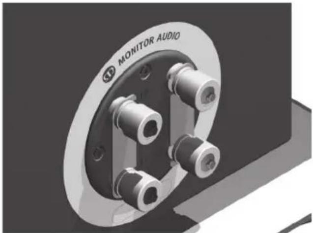 MONITOR AUDIO Silver 6 - Fiches banane - 1
