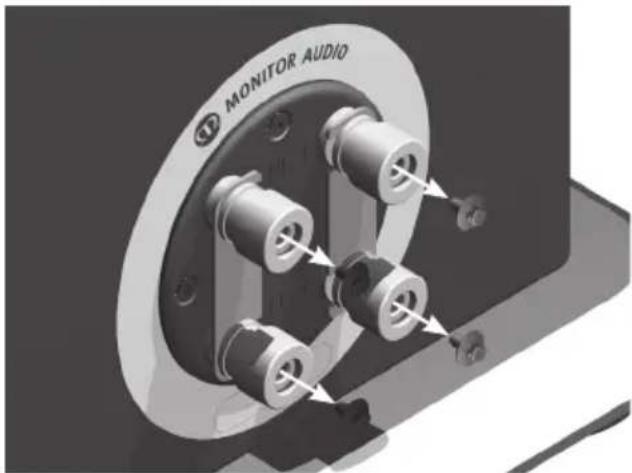 MONITOR AUDIO Silver 6 - Clavijas de punta cónica - 2