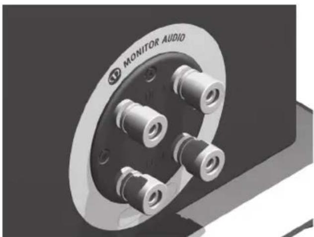 MONITOR AUDIO Silver 6 - Bi-Wire / Bi-Amp - 2
