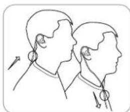 SHURE SE846 - Wearing the Earphones - 1