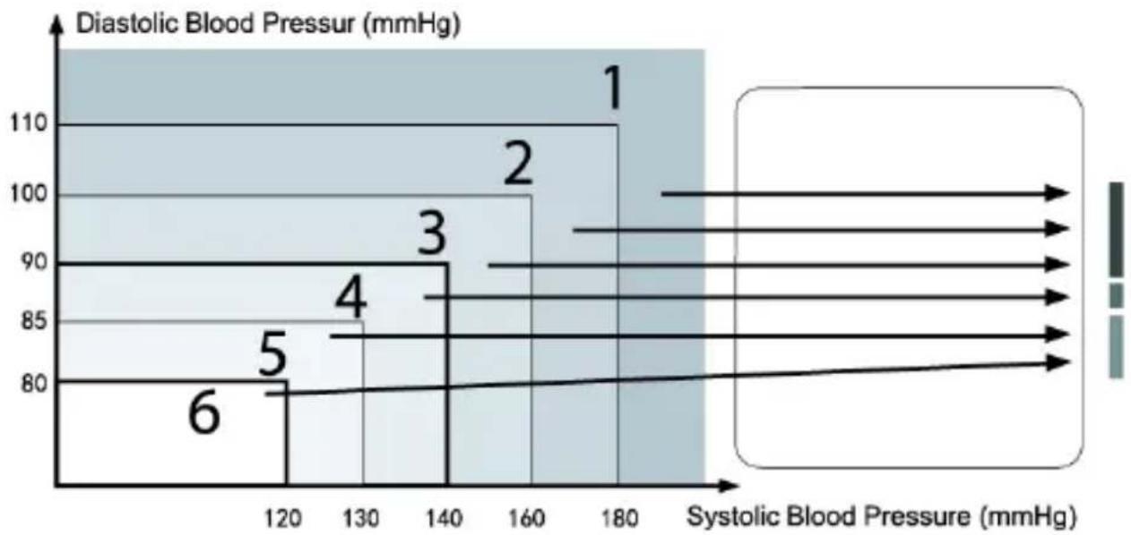 TOPCOM BD4600 - Blood Pressure Standard - 1