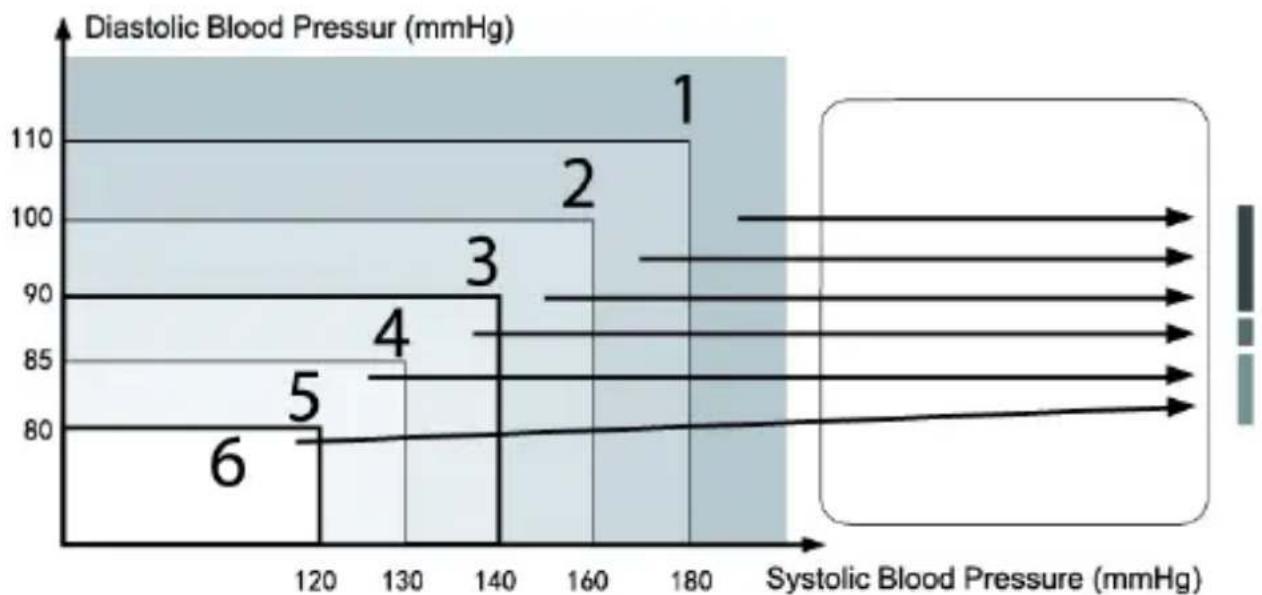 TOPCOM BD4600 - Bloeddruknorm - 1