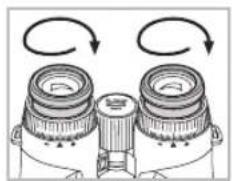 Swarovski EL Range 10x42 W B - DE - 3