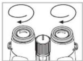 Swarovski EL 10x32 W B - Adjustment of the twist-in eyecups - 2