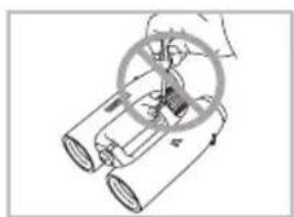 Swarovski SLC 8x42 W B - Allman information - 2