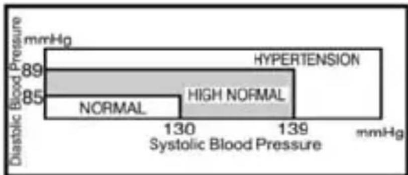 TOPCOM BD4620 - Blood pressure standard - 1