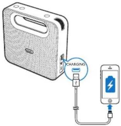 PHILIPS BT5880 - Remarque - 1