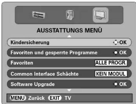 TOSHIBA 42C3035DG - FestlegenderPIN - 1