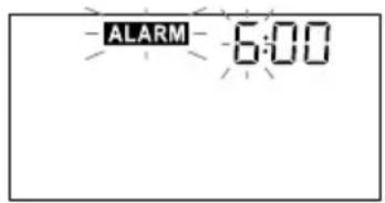 TIVOLI AUDIO iSongBook - iSongBook Instructions - 5