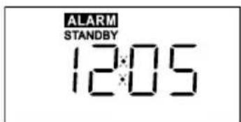 TIVOLI AUDIO iSongBook - Using the Alarm - 4