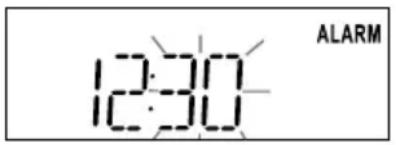 TIVOLI AUDIO iYiYi - Using the Alarm: - 2