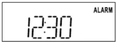 TIVOLI AUDIO iYiYi - Using the Alarm: - 3
