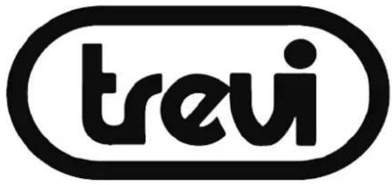 Trevi FRS 1270 USB - Precautions for correct disposal of the product. - 3