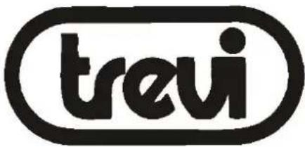 Trevi DVMI 3541 - BETRIEBSANLEITUNG - 1